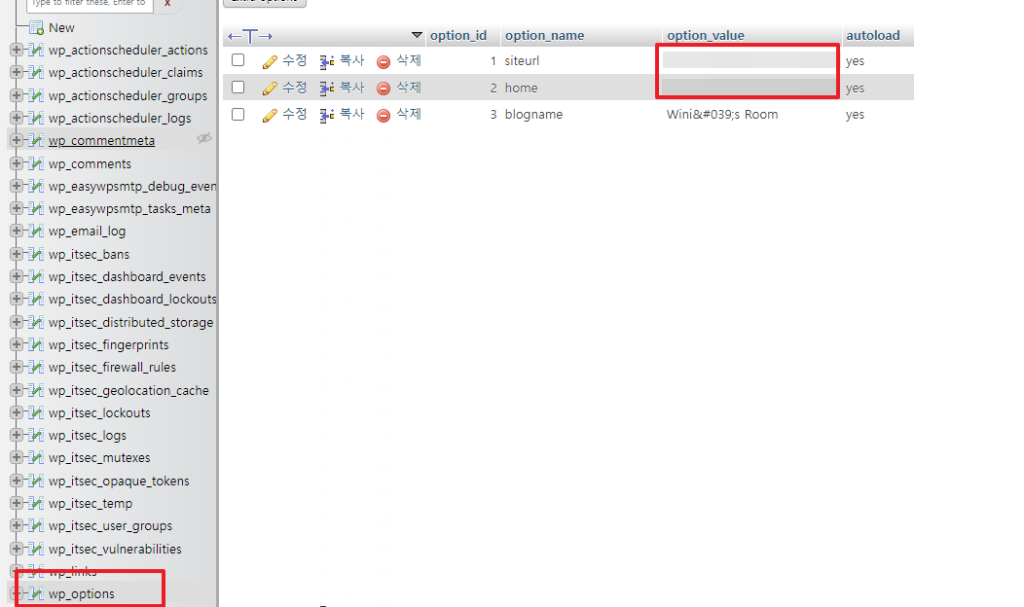 wp_option