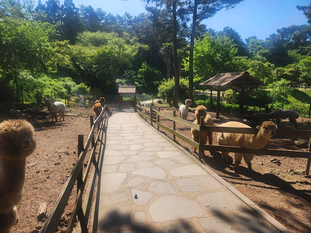 화조원2