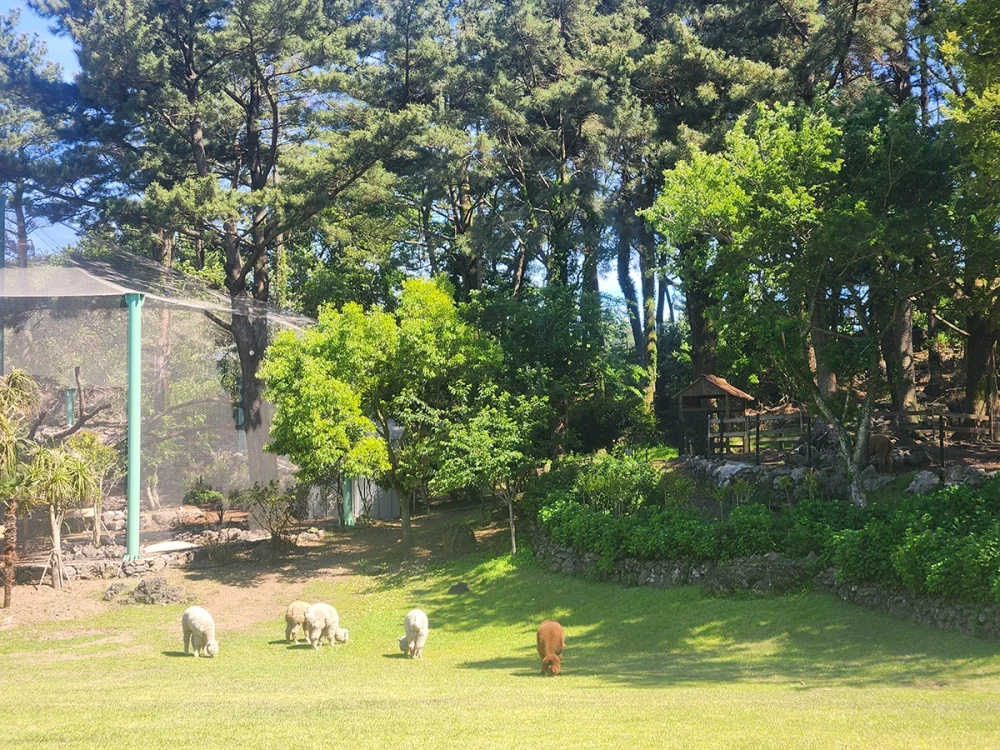 화조원4