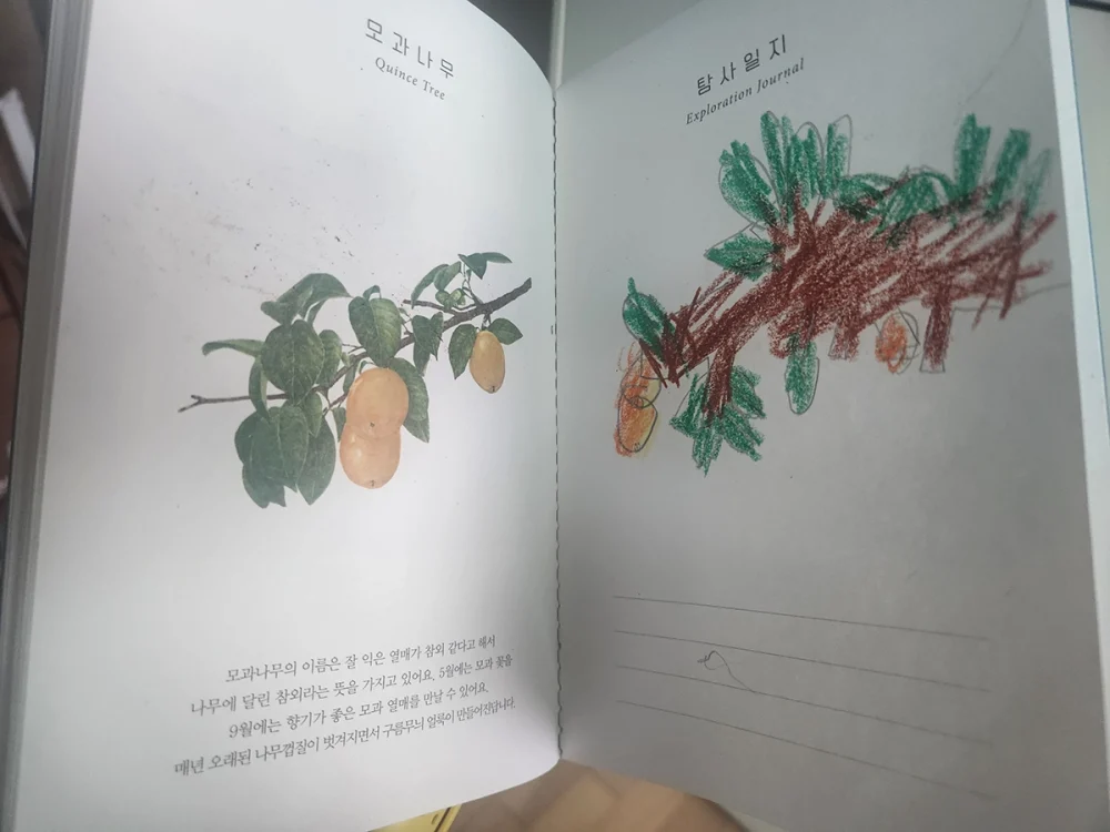 6세와 2세 아이랑 제주 4박 5일 여행 4~5일차 - GAO 하프캠프