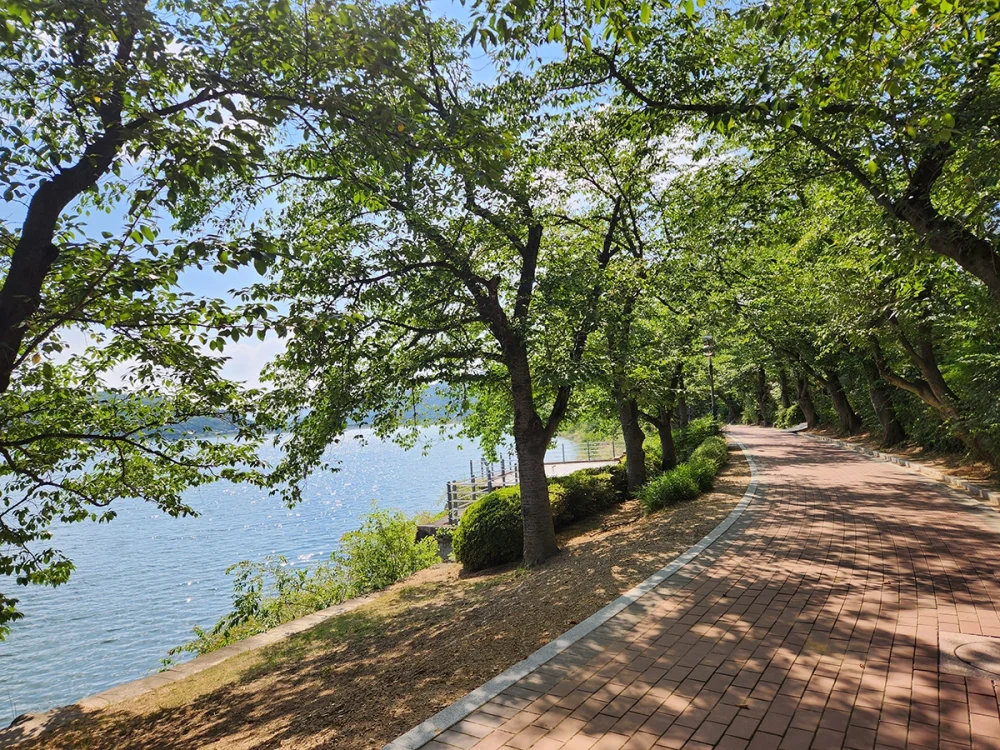 경주 보문 호수 풍경5