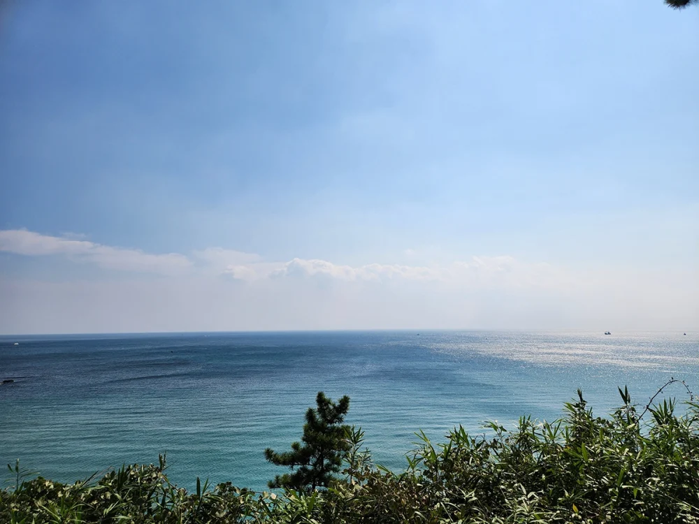롯데 올레 트레일1