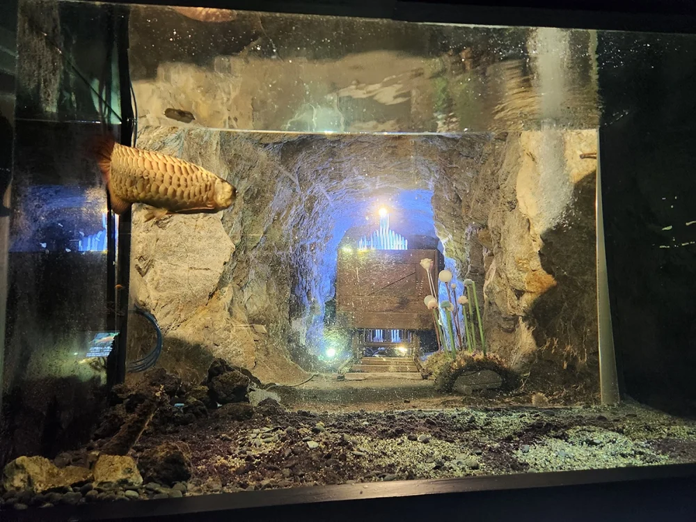 광명동굴 2