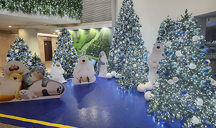 [평창/11月] 폭설 후 휘닉스파크 즐기기