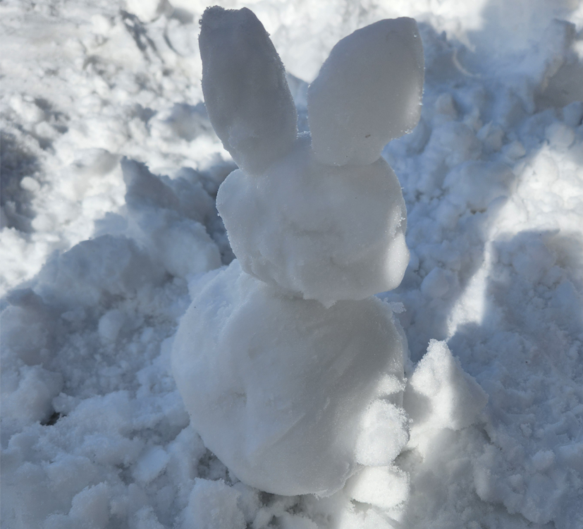 폭설 후 휘닉스파크 - 눈토끼