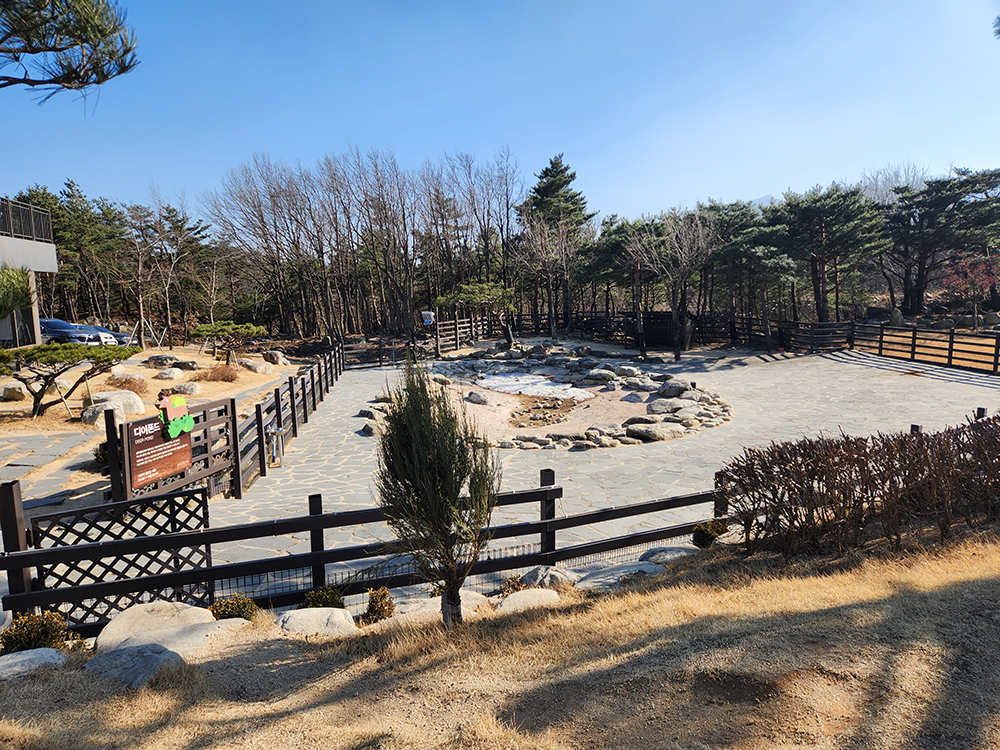 로얄스위트 키즈 베른