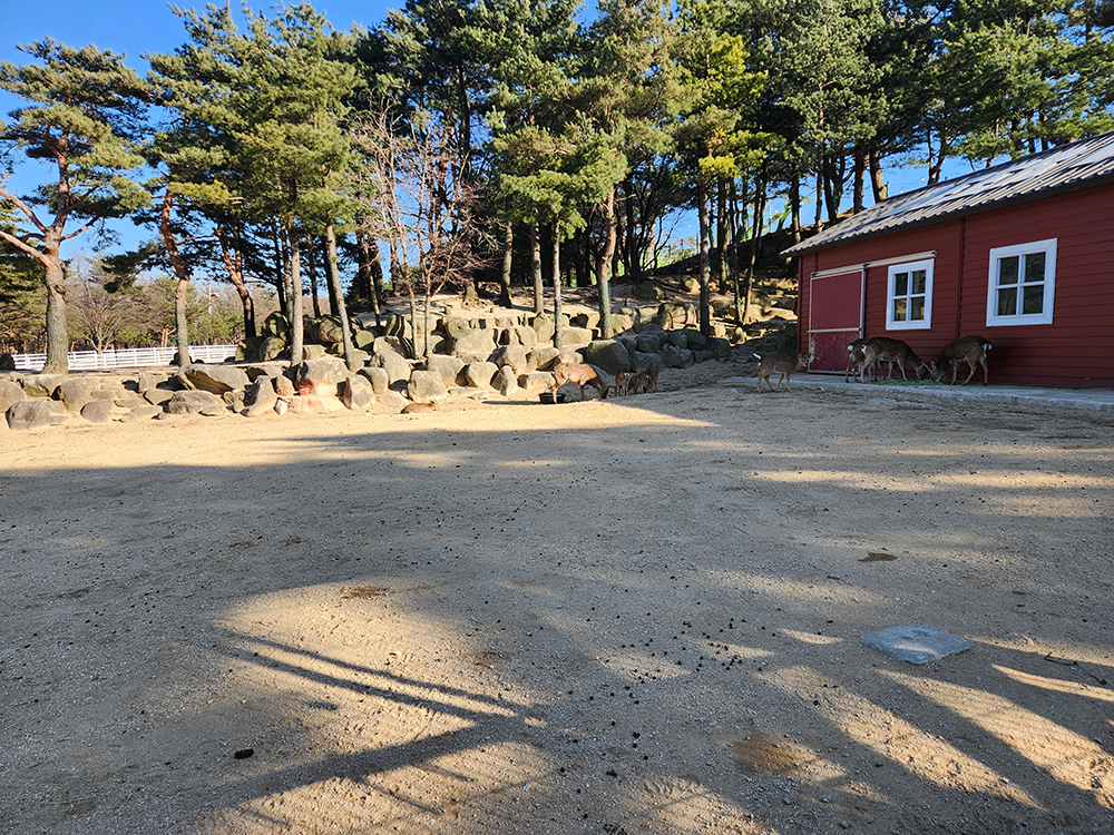 로얄스위트 키즈 베른