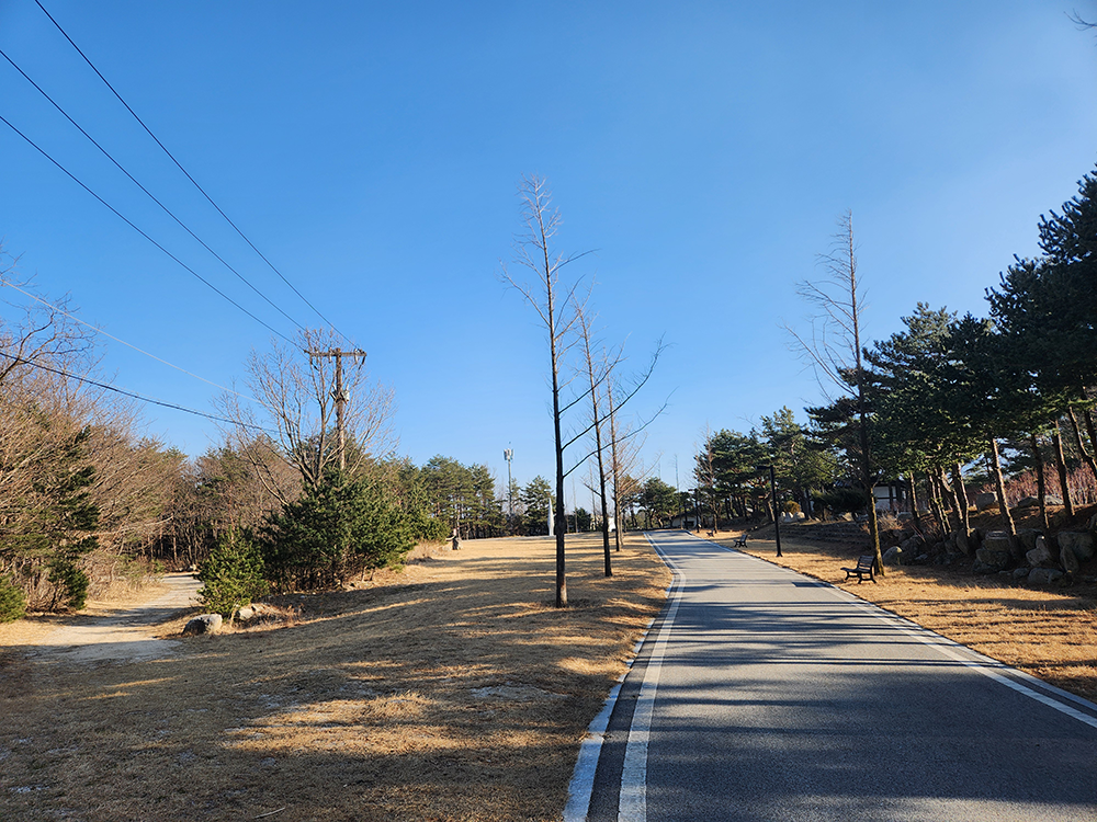 로얄스위트 키즈 베른