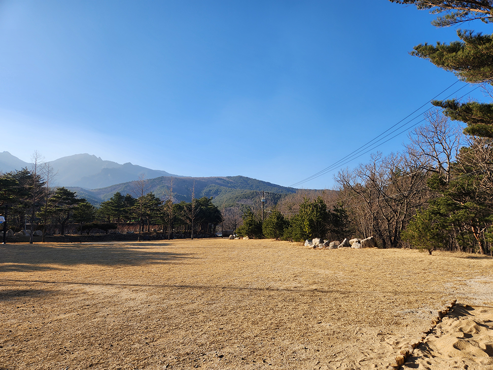 로얄스위트 키즈 베른