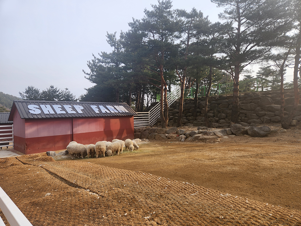 로얄스위트 키즈 베른