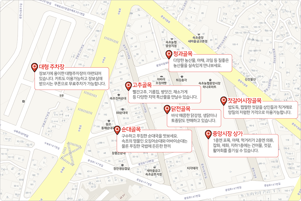 속초 설악산 2번 보기 여행 2일차