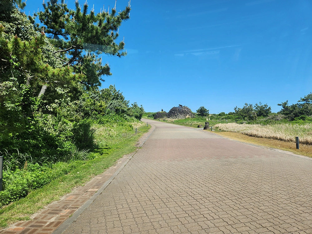 키즈 플레이 라운지 시스템 및 코지 샤브샤브 이용 후기