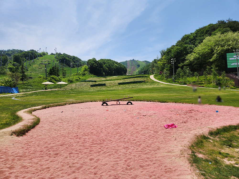 보물찾기부터 양떼 목장까지 평창 나들이