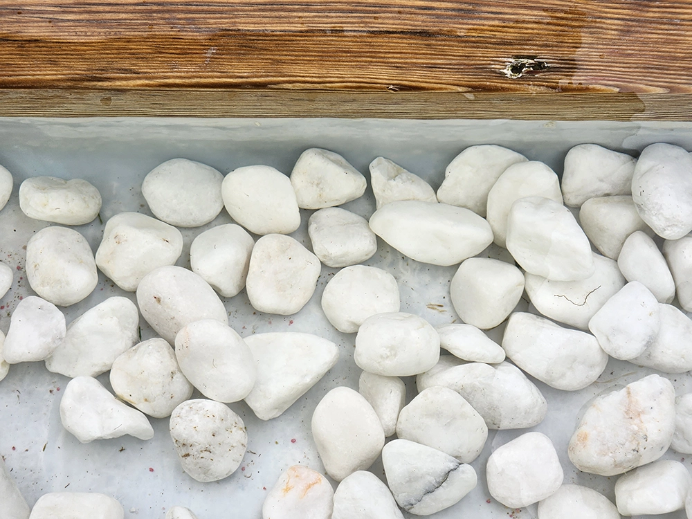 수영장과 경품 티켓 상상놀이터 이용하기