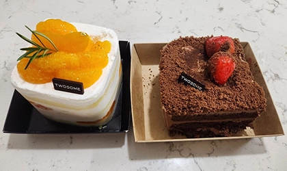 디냥이 일기 – 프랑스에서 태어나야 했는데~