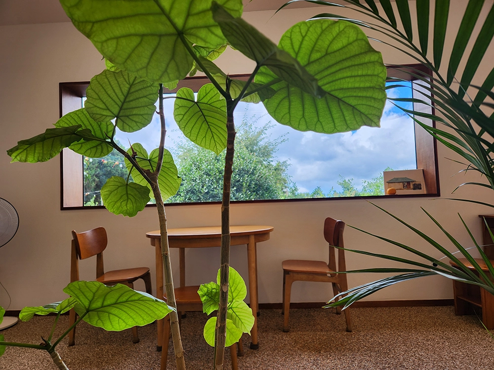 7세와 3세 아이랑 제주 4박 5일 한여름 여행 1일차