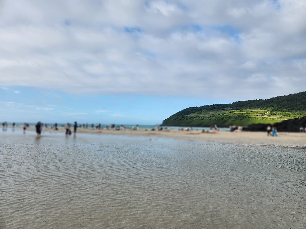 7세와 3세 아이랑 제주 4박 5일 한여름 여행 1일차