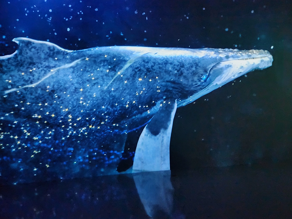 7세와 3세 아이랑 제주 4박 5일 한여름 여행 1일차