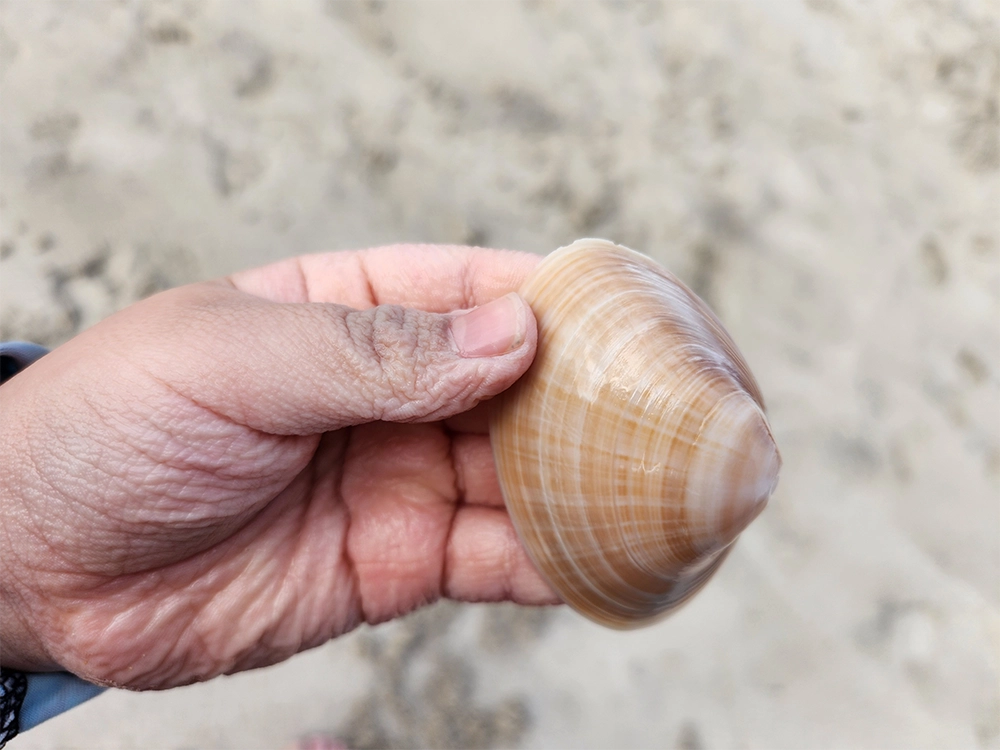 7세와 3세 아이랑 제주 4박 5일 한여름 여행 2일차 - 함덕해수욕장