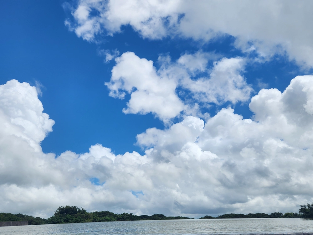 7세와 3세 아이랑 제주 4박 5일 한여름 여행 2일차 후기