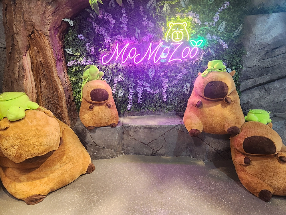 7세와 3세 아이랑 제주 4박 5일 한여름 여행 4일차