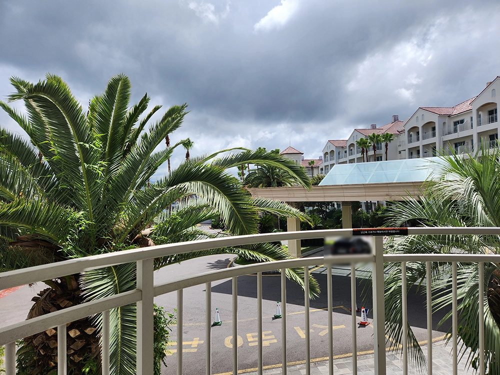 소노벨 제주 스위트 스탠다드 더블 취사