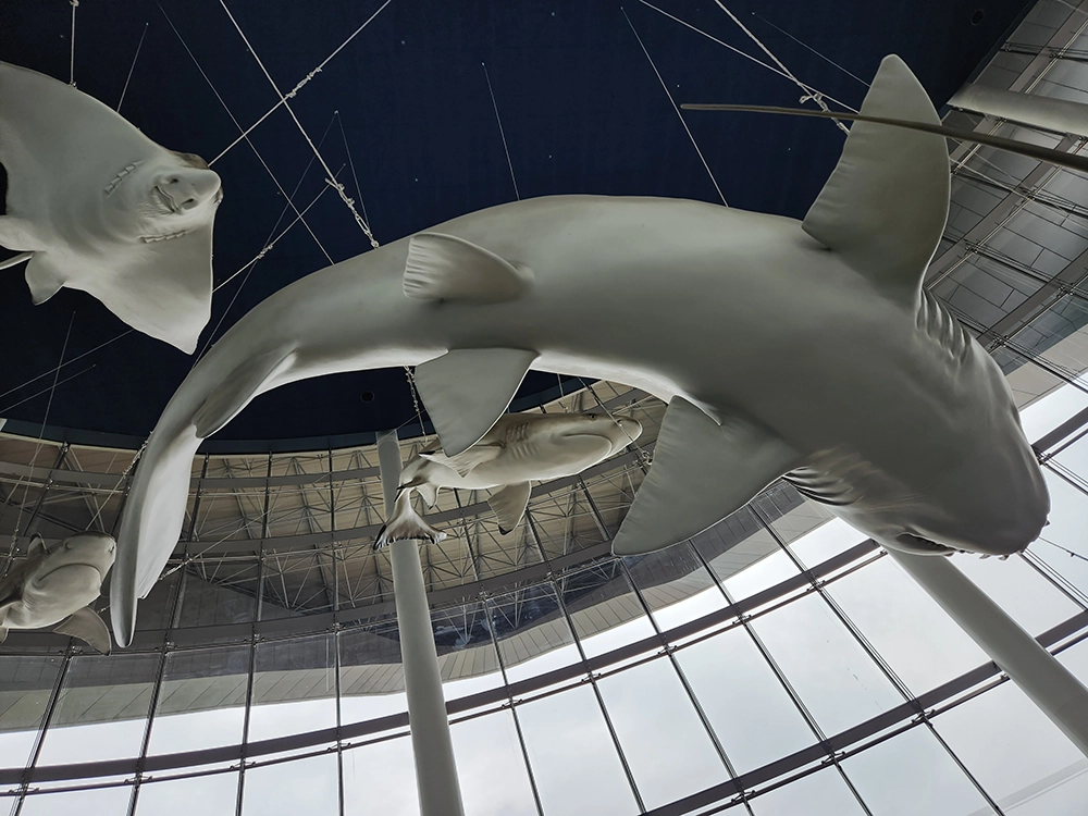 아쿠아플라넷 일산