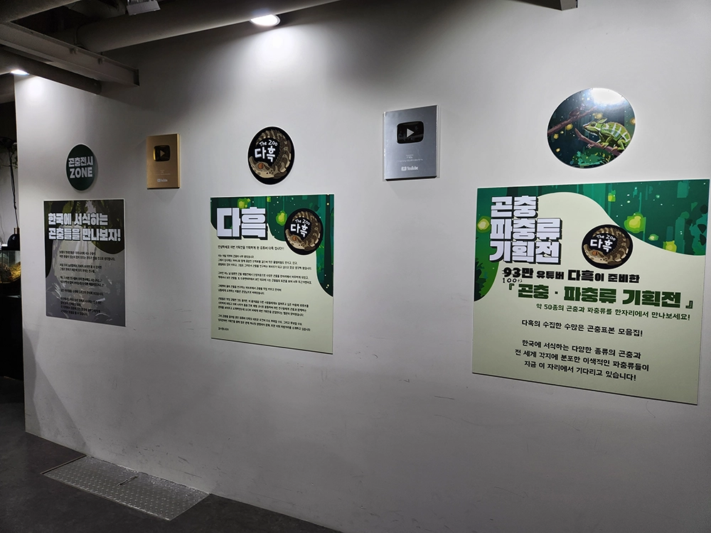 일산 아쿠아리움 지하1층 다흑 파충류 기획전