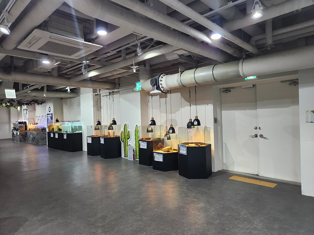 일산 아쿠아리움 지하1층 다흑 파충류 기획전