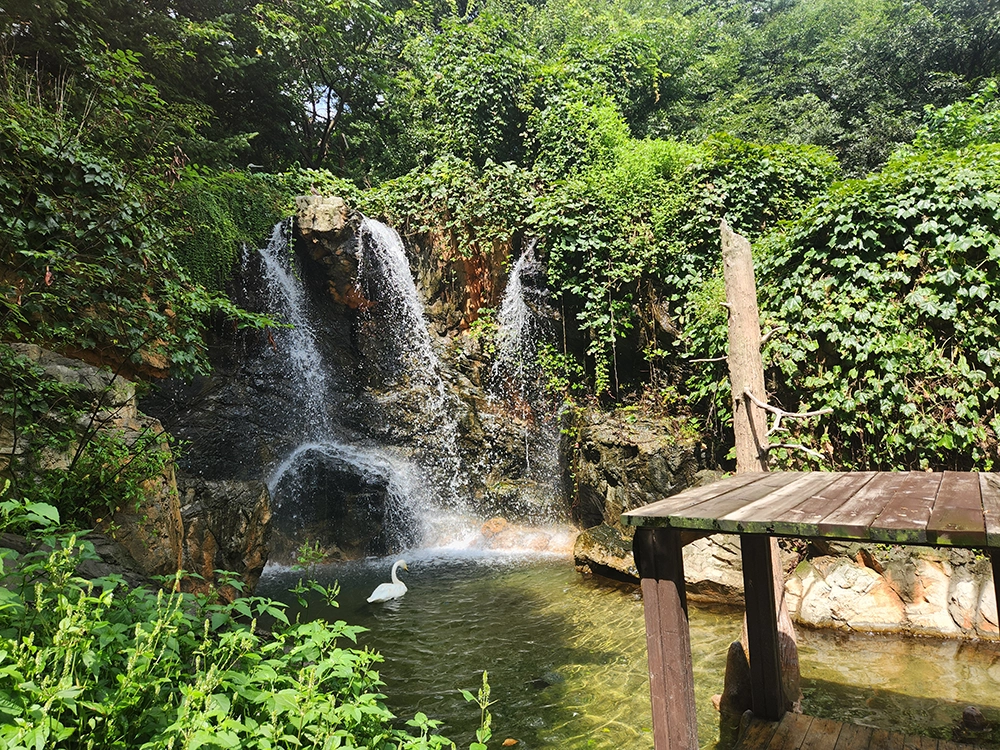 키 90cm 에버랜드 즐기기