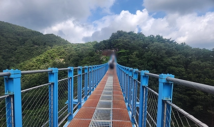 [원주/8月] 원주 소금산 출렁다리 체험 여행