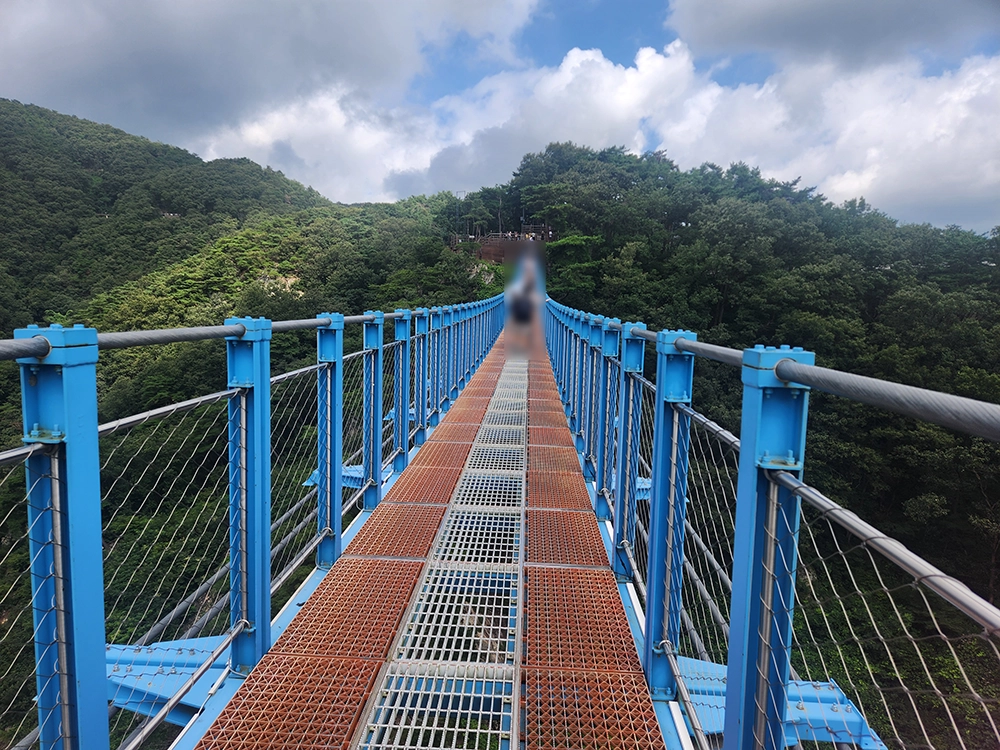 원주 소금산 출렁다리 체험