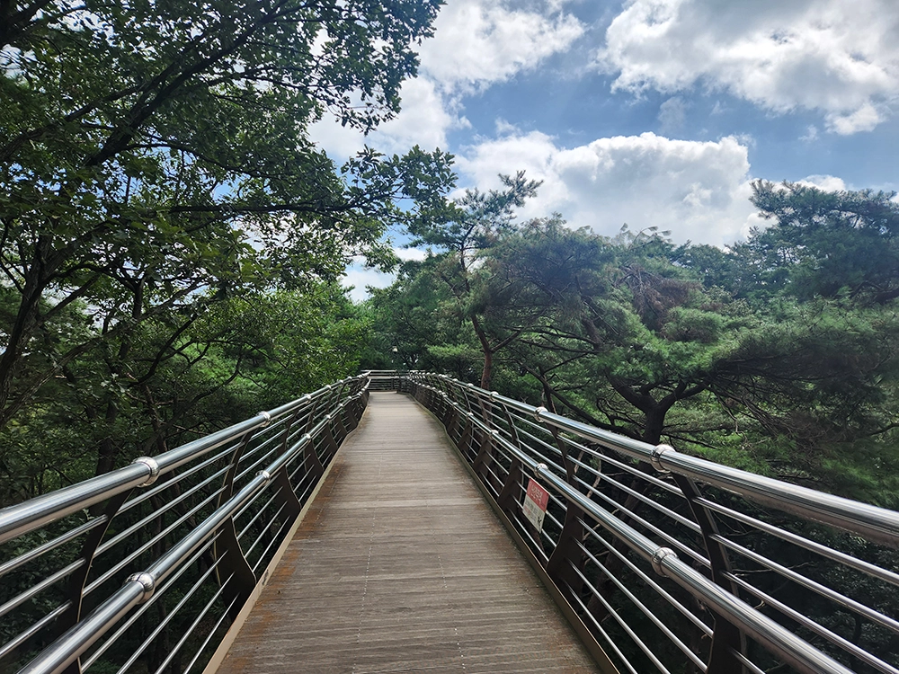 원주 소금산 출렁다리 체험