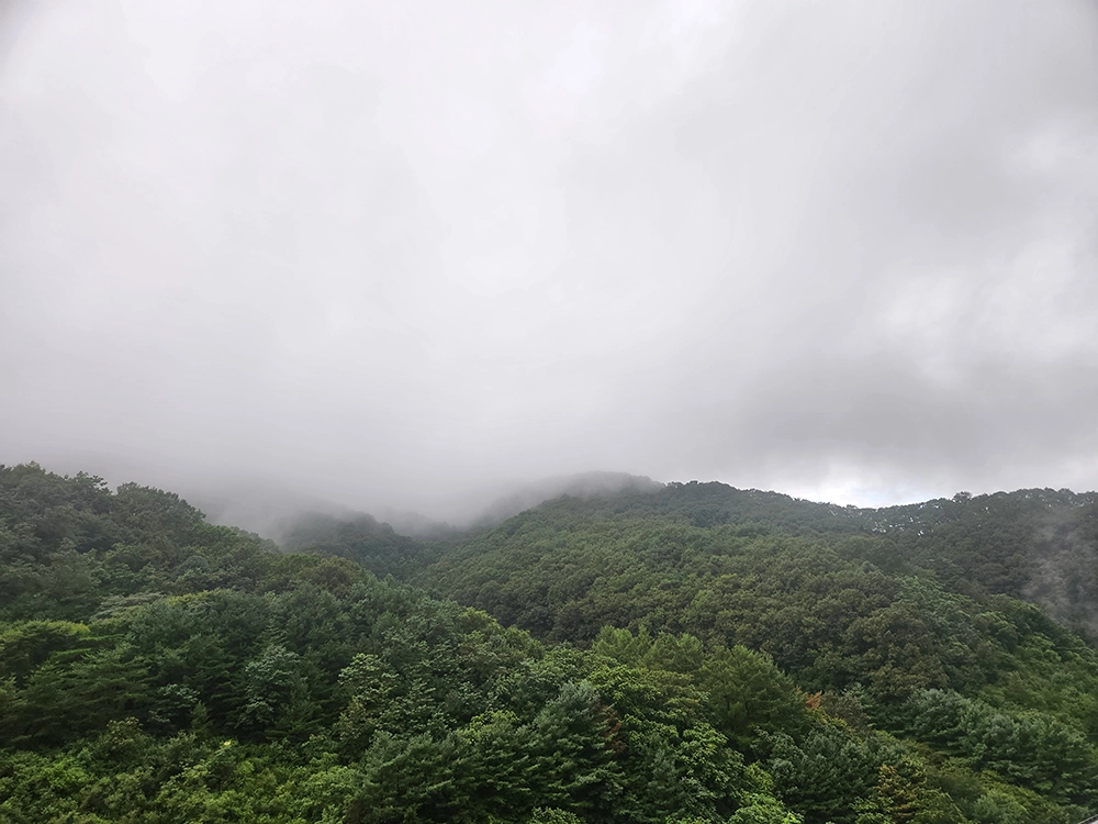 소노벨 비빌다파크 스위트 스탠다드 B동