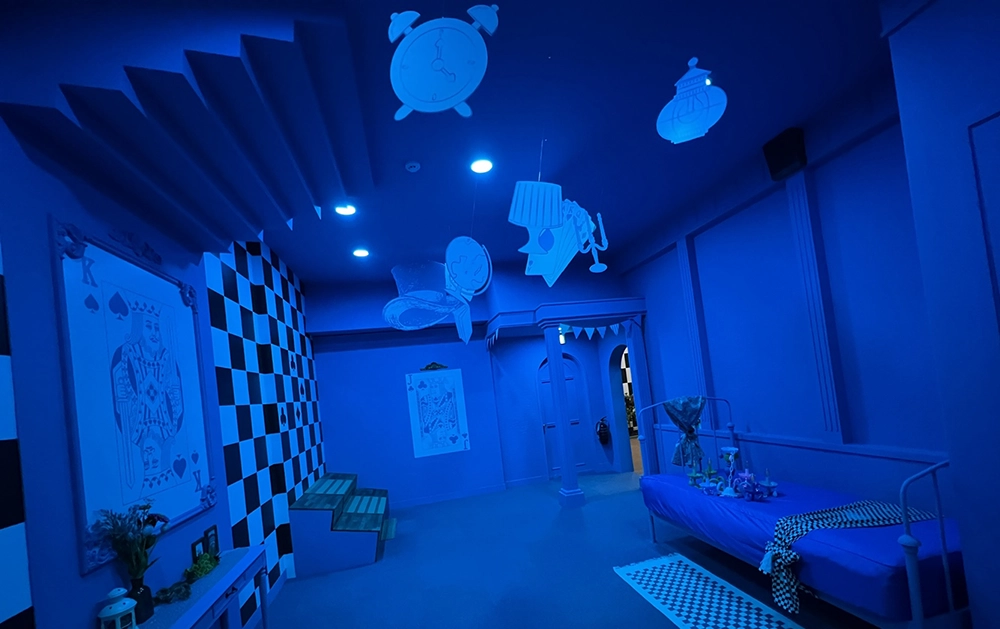 서울랜드 처음 방문