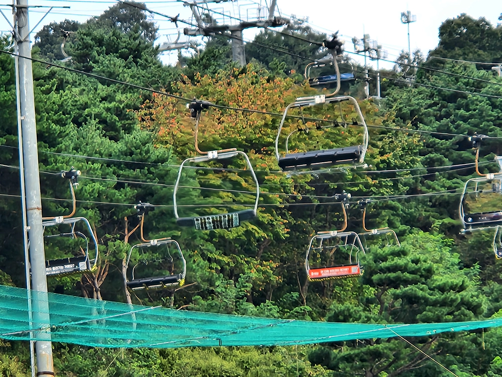 앤트월드와 루지월드 즐기기