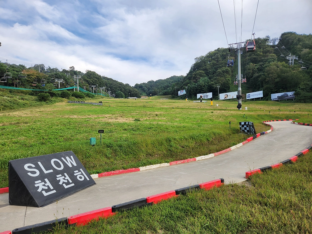 앤트월드와 루지월드 즐기기