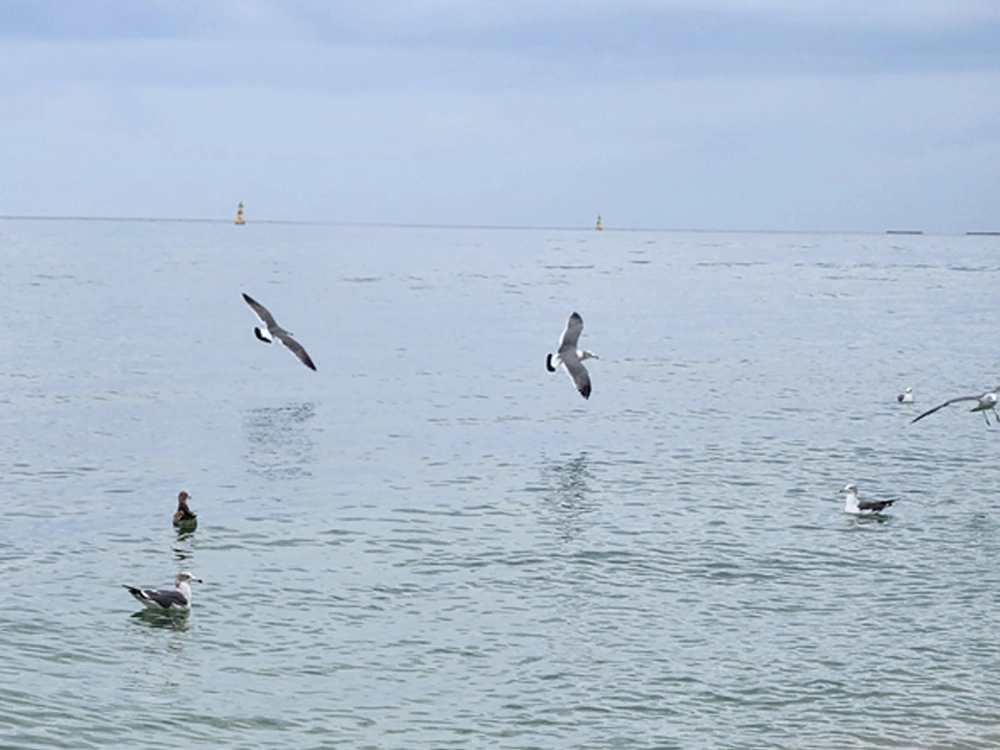 추석 속초에서 부산까지 여행 1일차