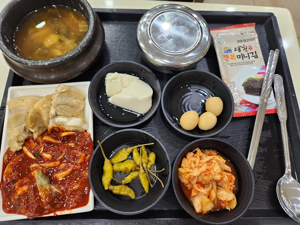 안면도 쥬라기 박물관과 대천해수욕장 1박 2일