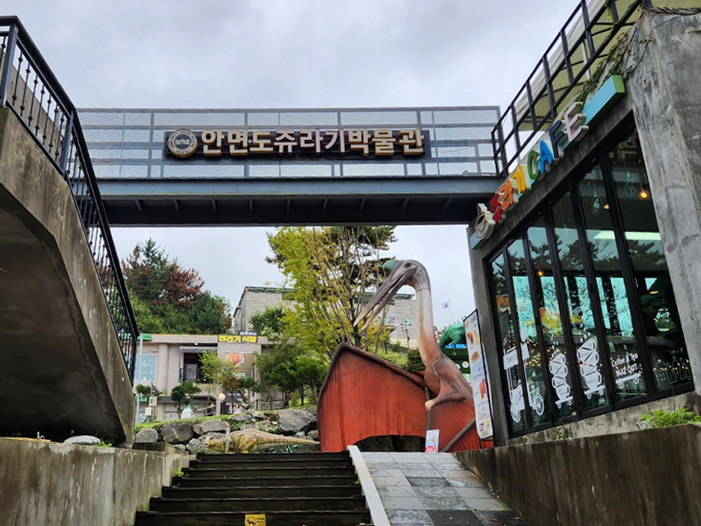 안면도 쥬라기 박물관