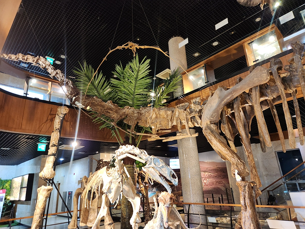 안면도 쥬라기 박물관