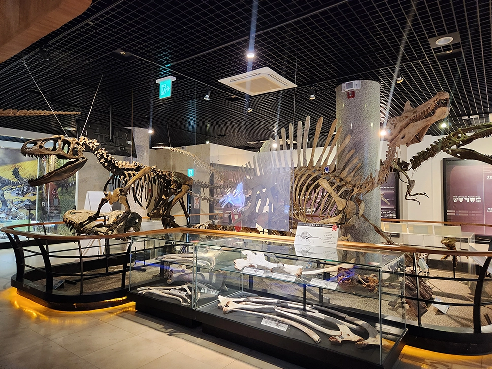 안면도 쥬라기 박물관