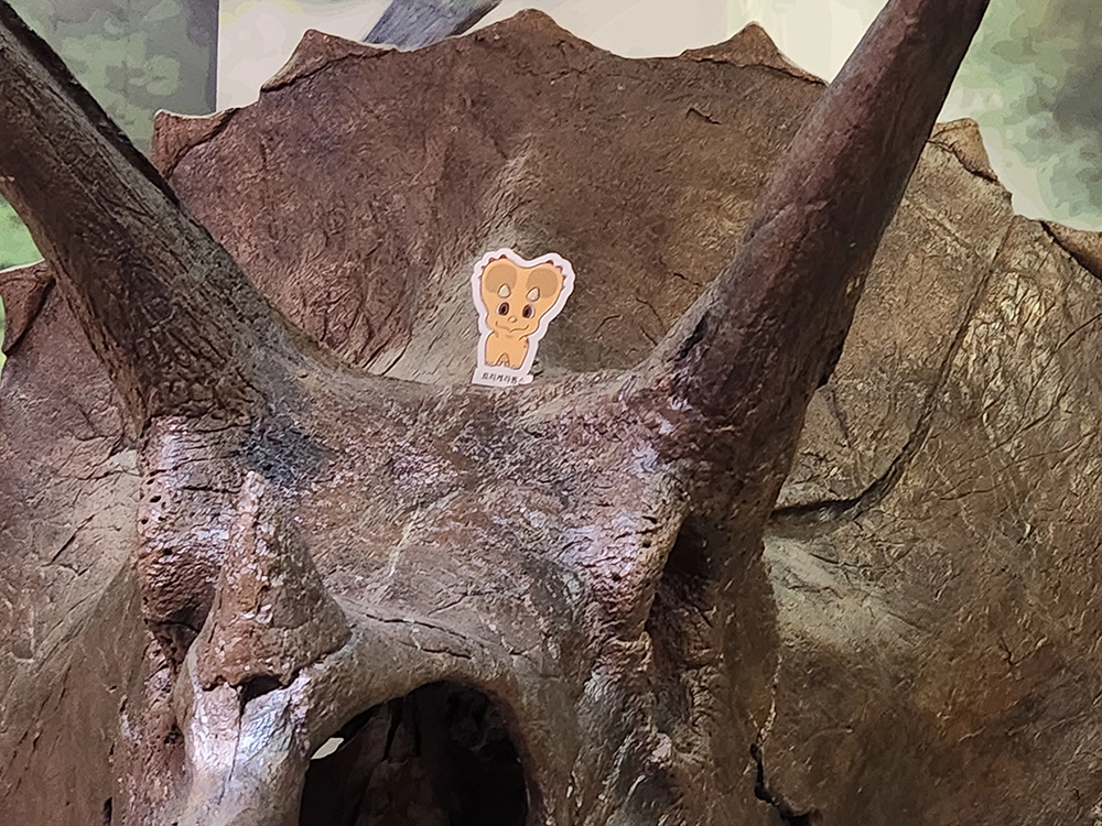 가을 주말 이벤트 - 모여라~! 티라노 친구들