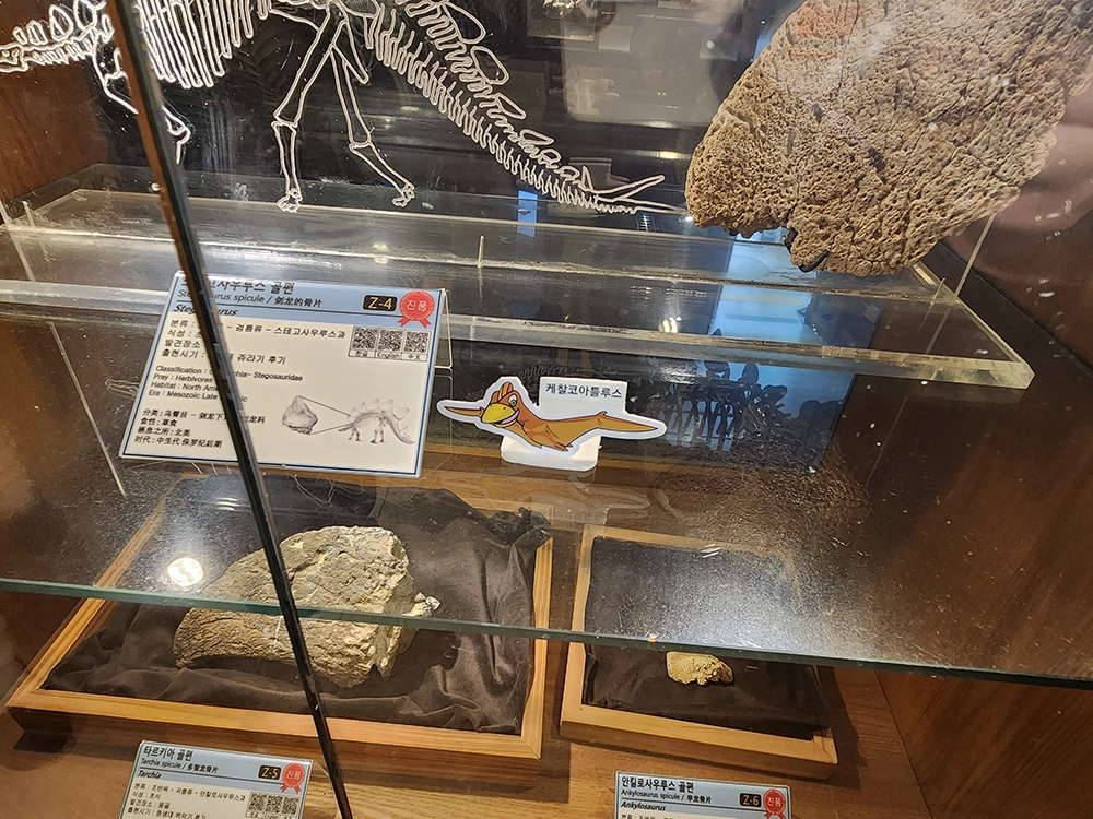 가을 주말 이벤트 - 모여라~! 티라노 친구들