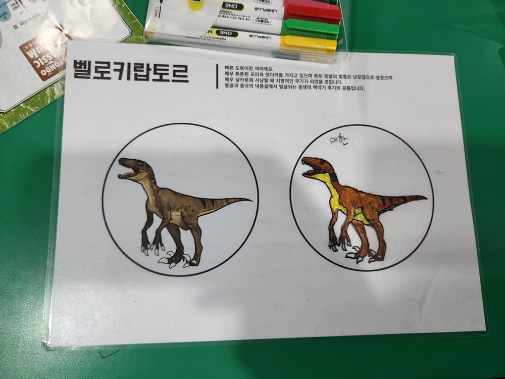 안면도 쥬라기 박물관과 대천해수욕장 1박 2일