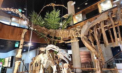 안면도 쥬라기 박물관과 대천해수욕장 1박 2일 여행 이야기