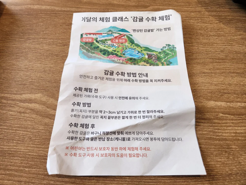 켄싱턴 감귤 수확 체험 안내문