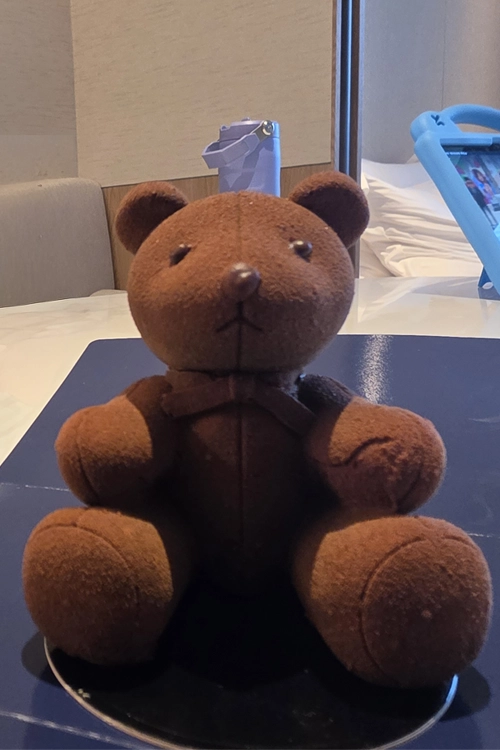 신라모노그램 안 베이커리에서 고른 곰 모양 초콜릿