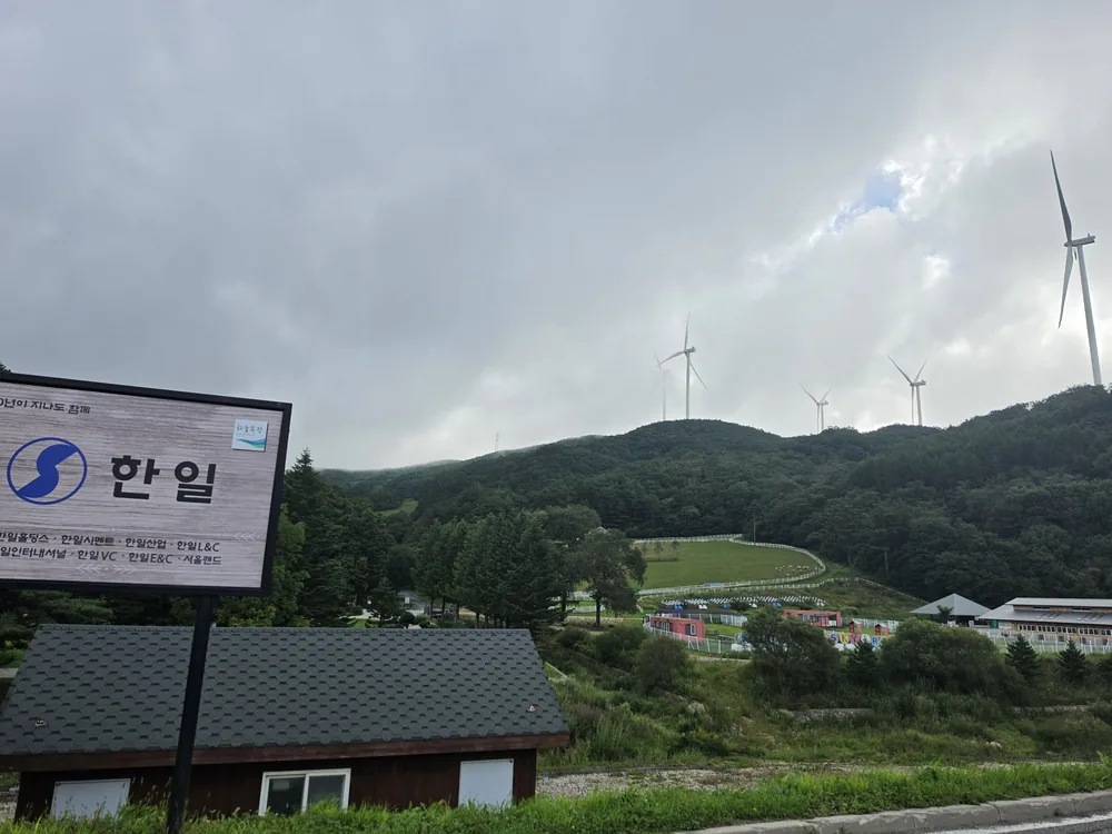 짙은 구름이 내려앉은 대관령 하늘목장 입구 주변