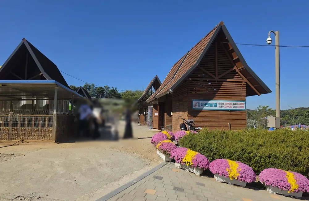자연농원 건물과 국화 화분